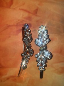 Sparkling Hair Clips (Set of 2)