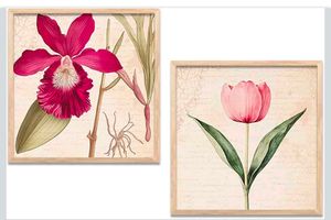 Floral Botanical Prints (Set of 2)