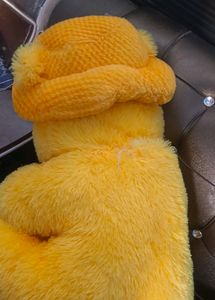 Beautiful Teddy Bear 💯 New