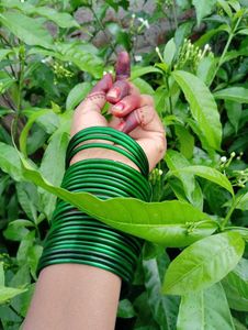 Green Bangles