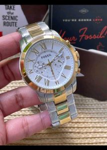 Fossil Grant