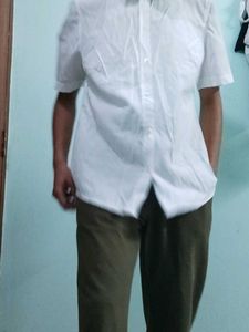 White Short Sleeve Button Down Shirt