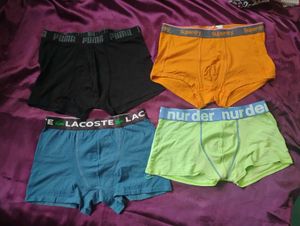 Imported Pack Of 4