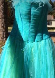 vintage Prom Dress with Feather Detail