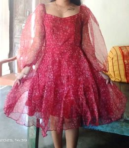 Floral Print Sheer Sleeve Dress