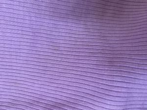 Lavendar Crop Top 💟