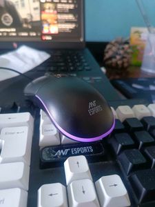 Gaming mouse wired