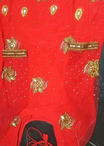 Embellished Gajari Colour Net Aur Crapeab