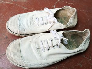Cotton White Shoes