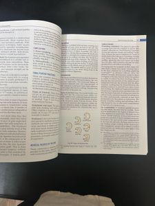 Textbook for Orthopaedics