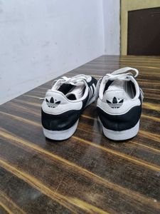 Adidas Gazelle Amazing Sneakers For Any One