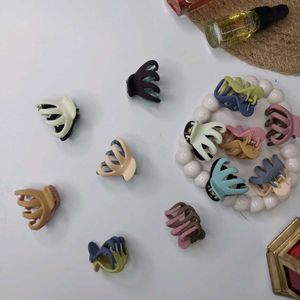 Combo Of 6 Mini Hair Claws 🌹🌼🦋
