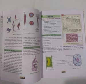Frank CCE.. Everyday Science Class 8