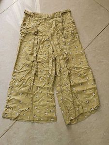 Fig Plazo Pant
