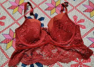 Red Lace Bra