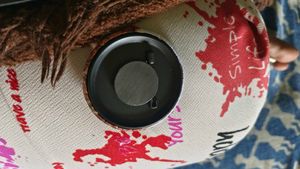 Hawa Mahal Jaipur Fridge Magnet