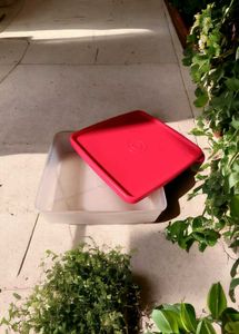 Tupperware Square Away Lunch Box