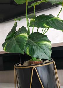 Modern Plant Stand