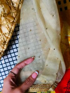 Golden Pearl Design Blouse Soft  Net Sleeves 💗🪷