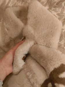 Neck Muffler With Loop