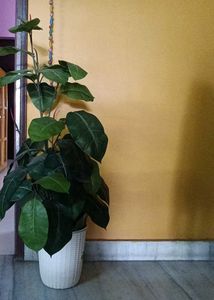 Artificial Plant with big leaves - 42 inches