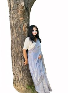 Jimmy choo Elegant Grey saree