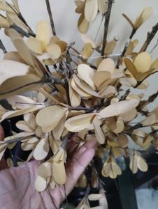 Beautiful and classydry leaves home decor
