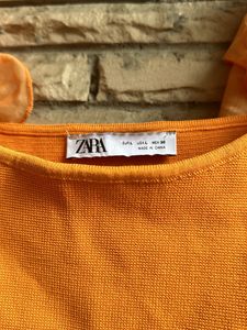 Zara Organza Sleeves Crop Top