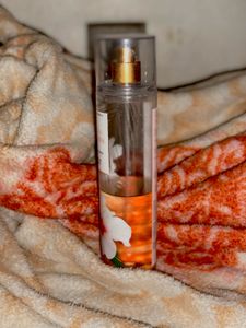 Hibiscus Paradise Mist