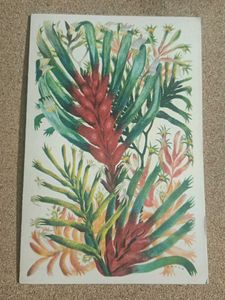 Vintage Botanical Art Print