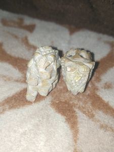MARBLE ELEPHANT 🐘