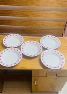 DINNER PLATES