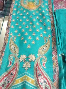 Elegant Salwar Suit (Hidden Minor Issue)