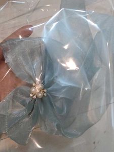 Cute Blue Bow Hair Clip