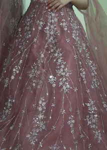 Beautiful Fall Sleeve Party Wear  Gown