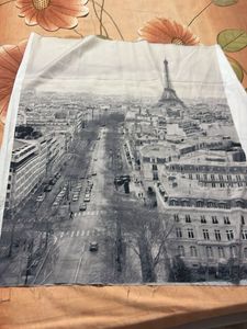 Crop Top Fabric Paris Print