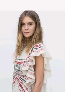 Zara Embroidered Mini Dress