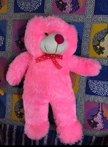 New Teddy Bear (2 Feet 3 Inches)