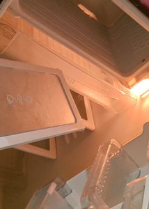 LG Refrigerator (Fully Working)