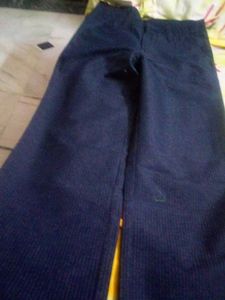 new striped pant