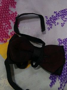 Boys Coat Pant With Jacket And Bow