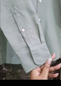 ZARA Shirt