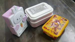 Cute Lunch Box Set