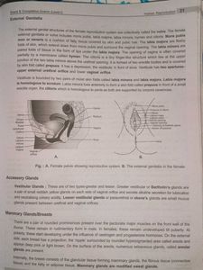 Aakash Zoology Class XII Study Package