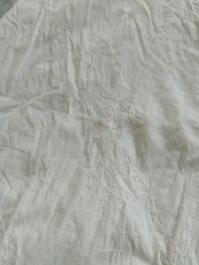 Chikankari Kind Of Short Kurti