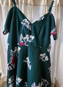 Westro Skater Dress