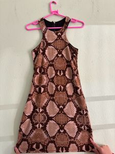 Animal Printed Bodycon Dress