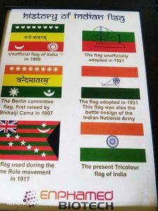 Indian Flag History Wall Frame Picture
