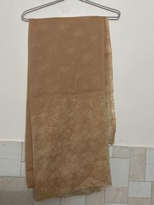 Brand New Dupatta