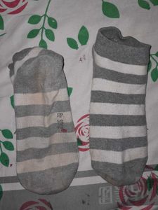 Socks Daily Wear